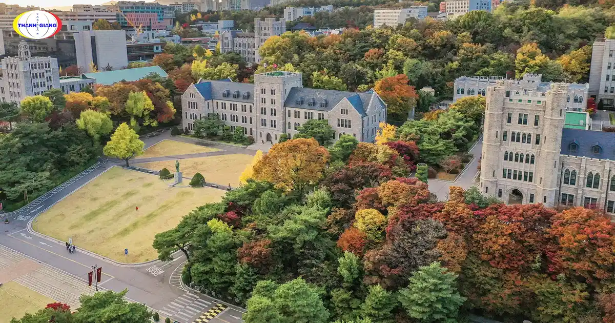 đại học hàn quốc