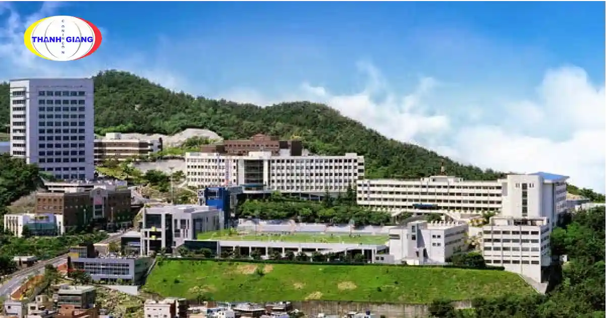 Cheju University of Technology