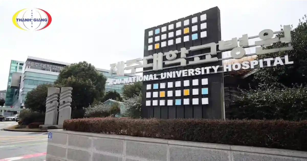 Jeju International University