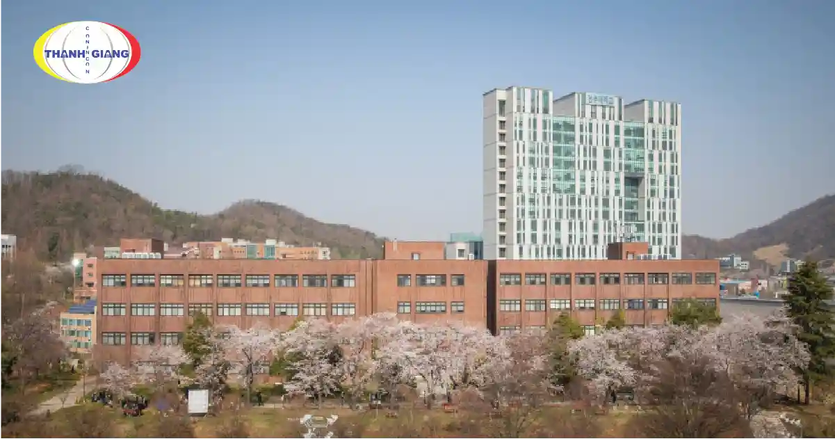 Jeonju University of Health Sciences