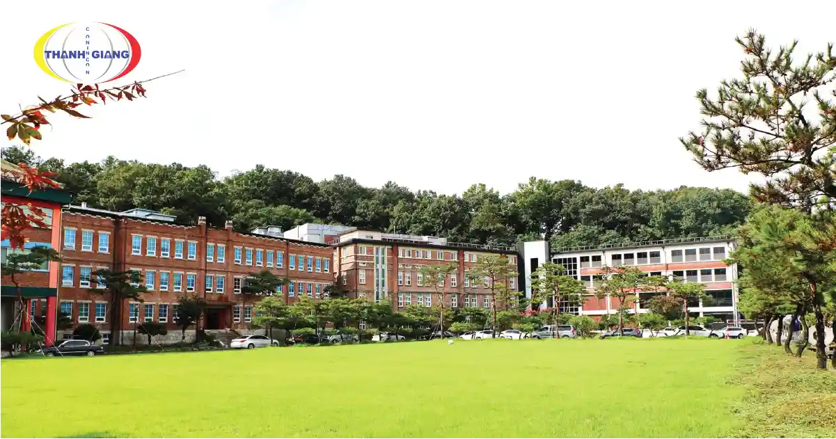 Thay đổi ngành học khi du học Hàn Quốc