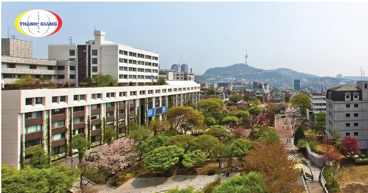 Du học chuyển tiếp Hàn Quốc
