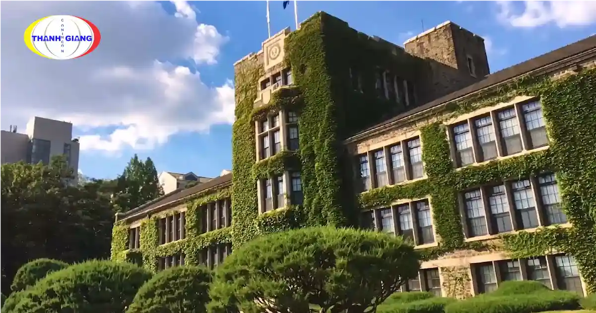 chuyển trường khi du học Hàn Quốc 