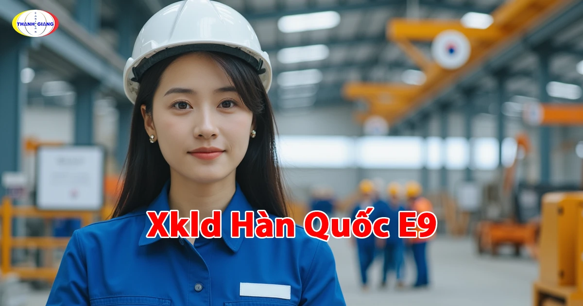 Xkld Hàn Quốc E9: Toàn Tập Về Chương Trình Cùng Thanh Giang