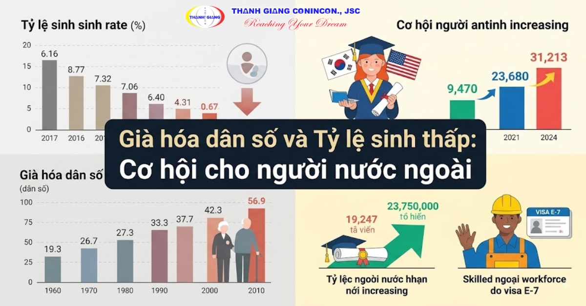 Biểu đồ thể hiện tỷ lệ dân số Hàn Quốc